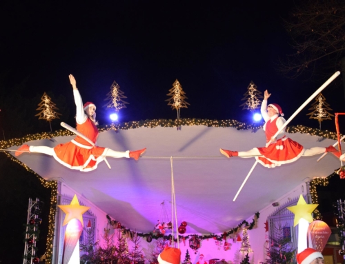 Endlich wieder Weihnachtsmärkte – Senftenberger Weihnachtsmarkt